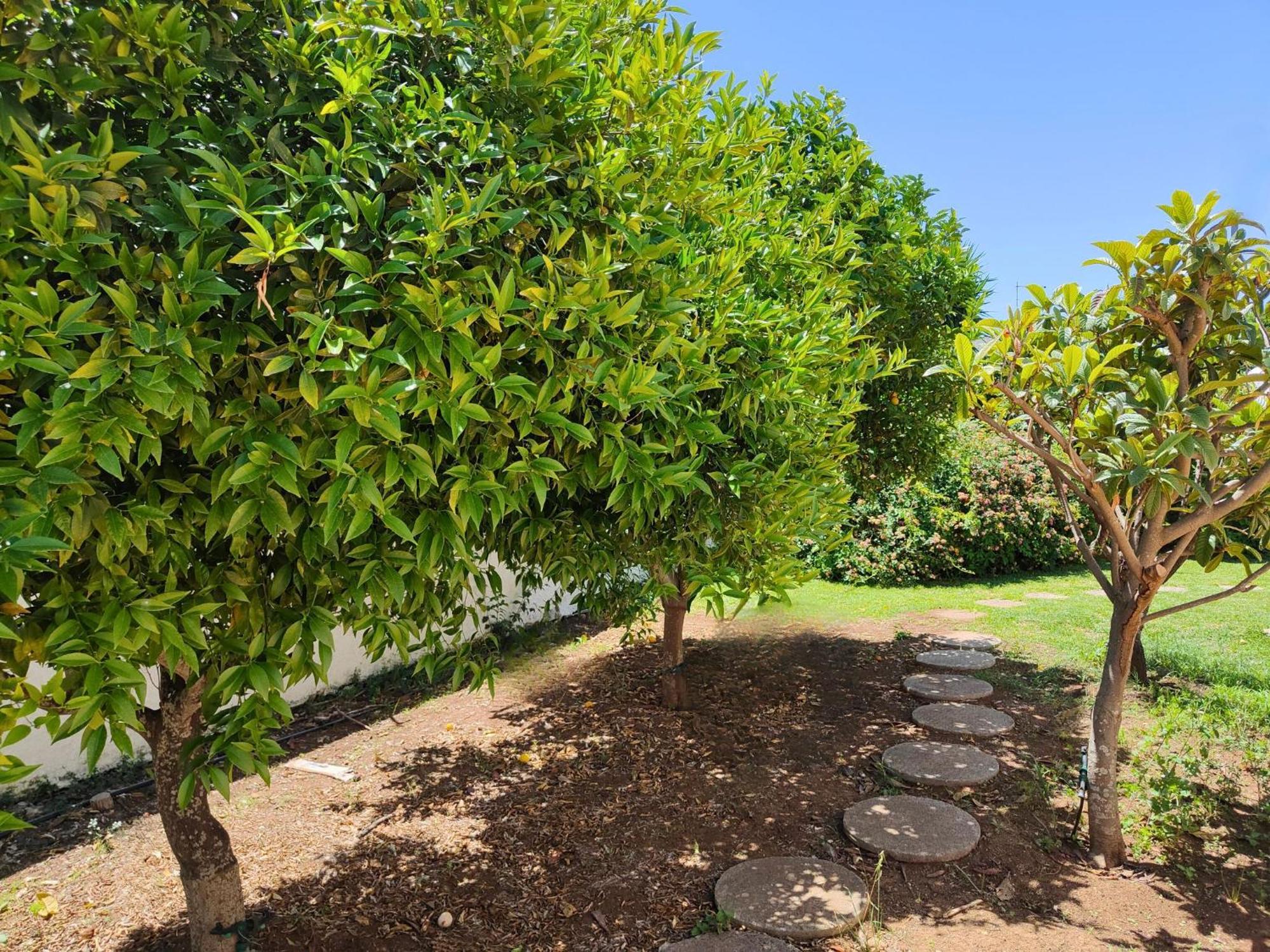 Villa Alfonsa, Fontane Bianche, Siracusa, Private Pool, 10Min From The Beach Exterior photo